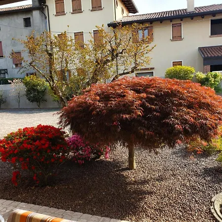 Apartman Casa Sofia *